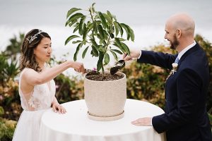 wedding tree planting ceremony